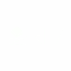 logotipo-seo-fritz